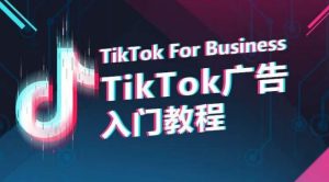TikTok广告入门教程，从0到1掌握TikTok投放的全流程 -超赞资源网-超赞资源网